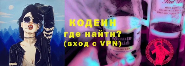амф Бородино