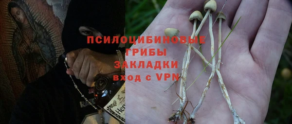 дживик Бугульма